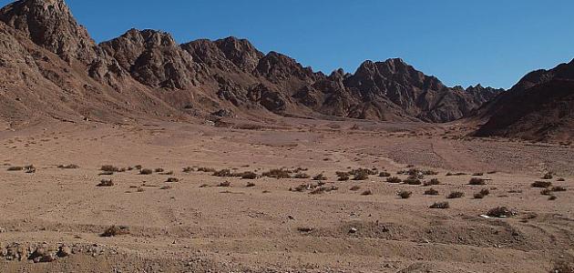 أين_تقع_صحراء_سيناء