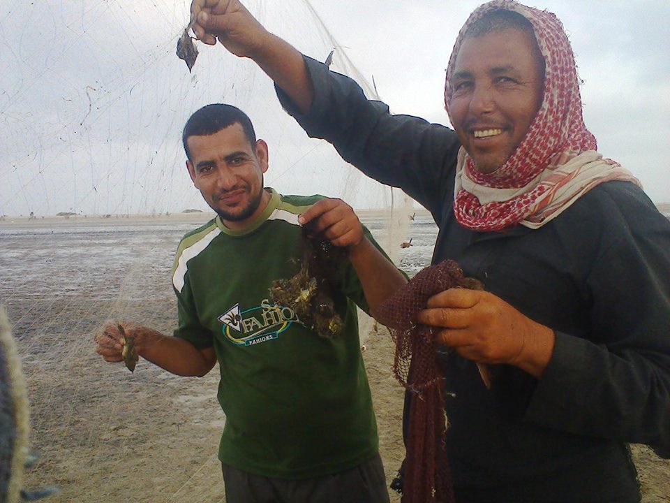 موسم صيد الطيور بشمال سيناء (7)