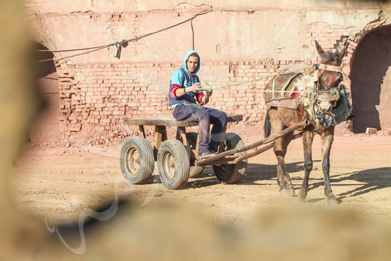 فيتشر صناعة الطوب الاحمر في قرية ابورجوان القبلي (17)