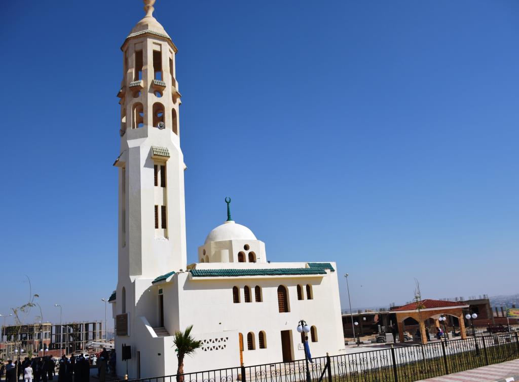 وزيرا الأوقاف والري في ضيافة محافظ أسوان (1)