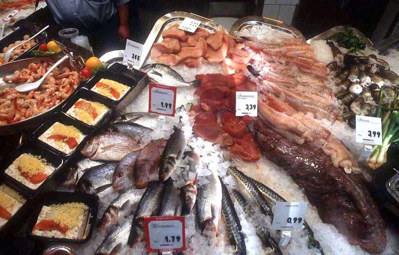 food-fish food-fish