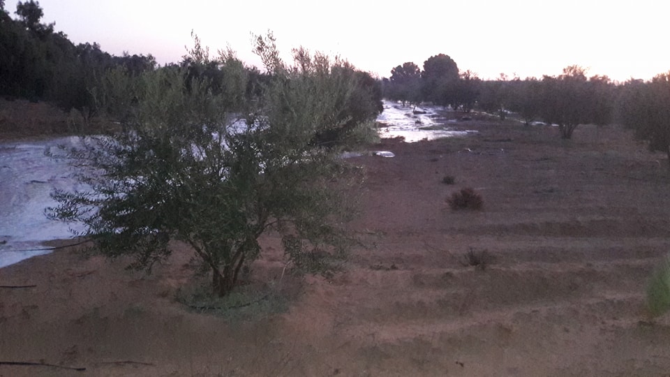 سيول (2)