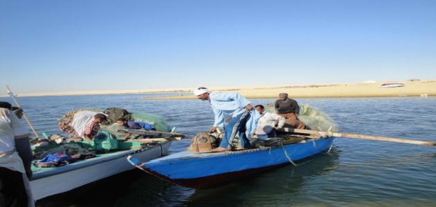 الصيادون فى بحيرة مريوط