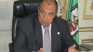 الدكتور عزالدين أبوستيت، وزير الزراعة واستصلاح الأراضى