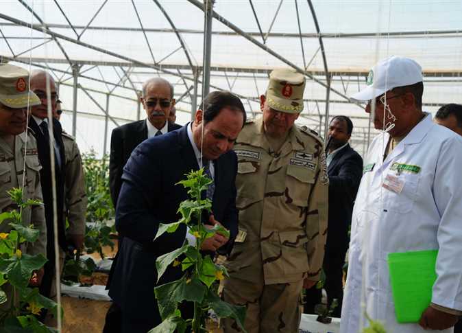 الرئيس السيسى خلال زيارته لزراعات الصوبات