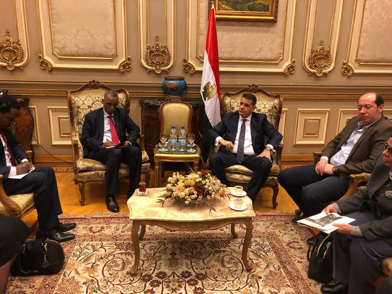 دعم العلاقات المصرية الإفريقية (3)