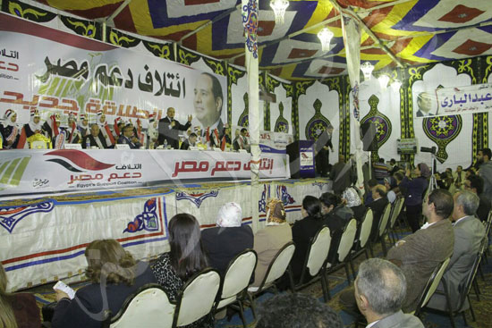 دعم مصر (2)