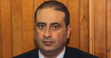وائل شلبي الأمين العام لمجلس الدولة،
