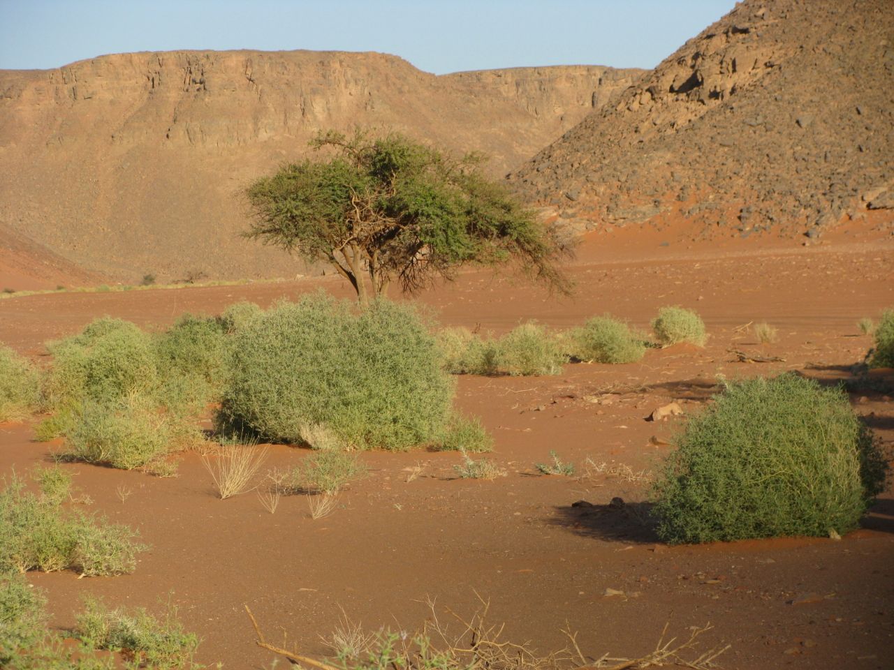 محمية الجلف الكبير بالوادى الجديد (19)