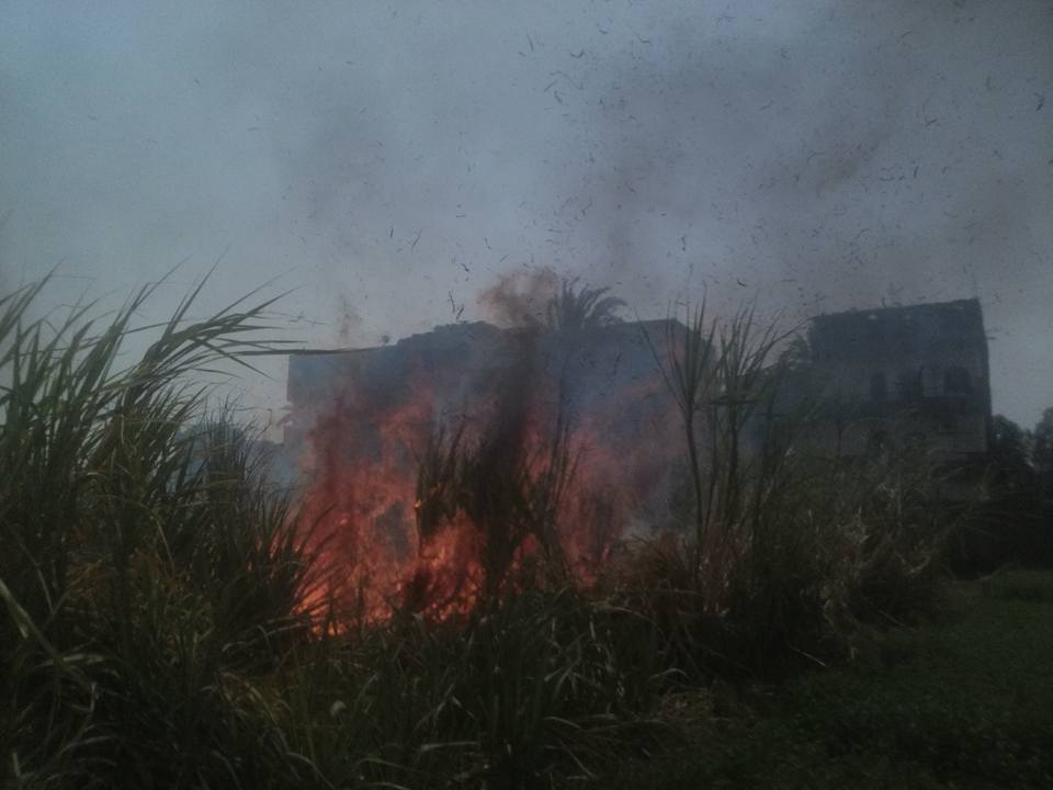 السيطرة علي حريق في زراعات القصب بمنطقة الحبيل قبل وصولها للمنازل دون مصابين (2)