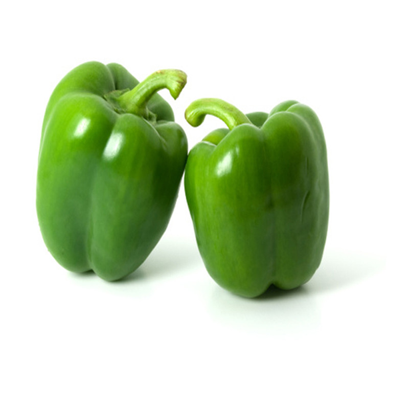 green-sweet-pepper-03_2