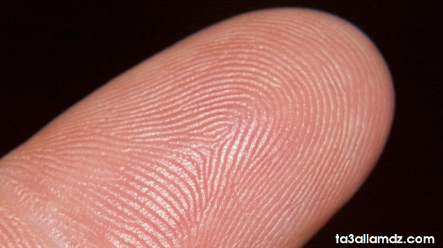 fingerprint-1024x575