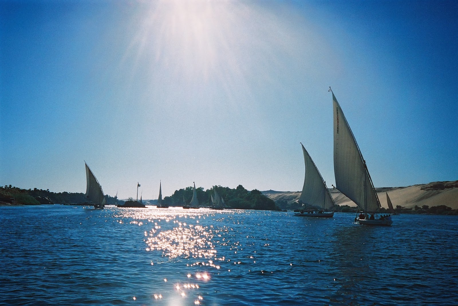 faluka-sailing-boats-on-the-Nile-near-Kitcheners-Island-Aswan-Egypt-SEW