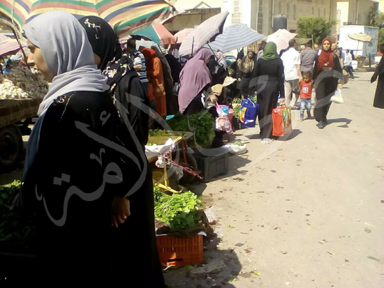 شمال سيناء تكثف استعداداتها للعيد (26)