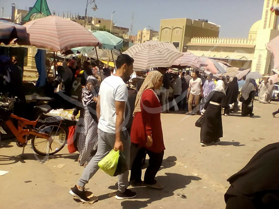 شمال سيناء تكثف استعداداتها للعيد (14)
