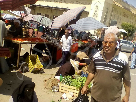 شمال سيناء تكثف استعداداتها للعيد (19)