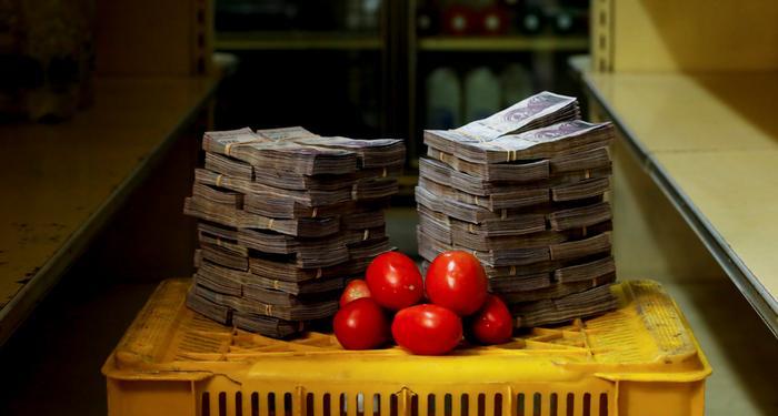 5 مليون سعر كيلو الطماطم