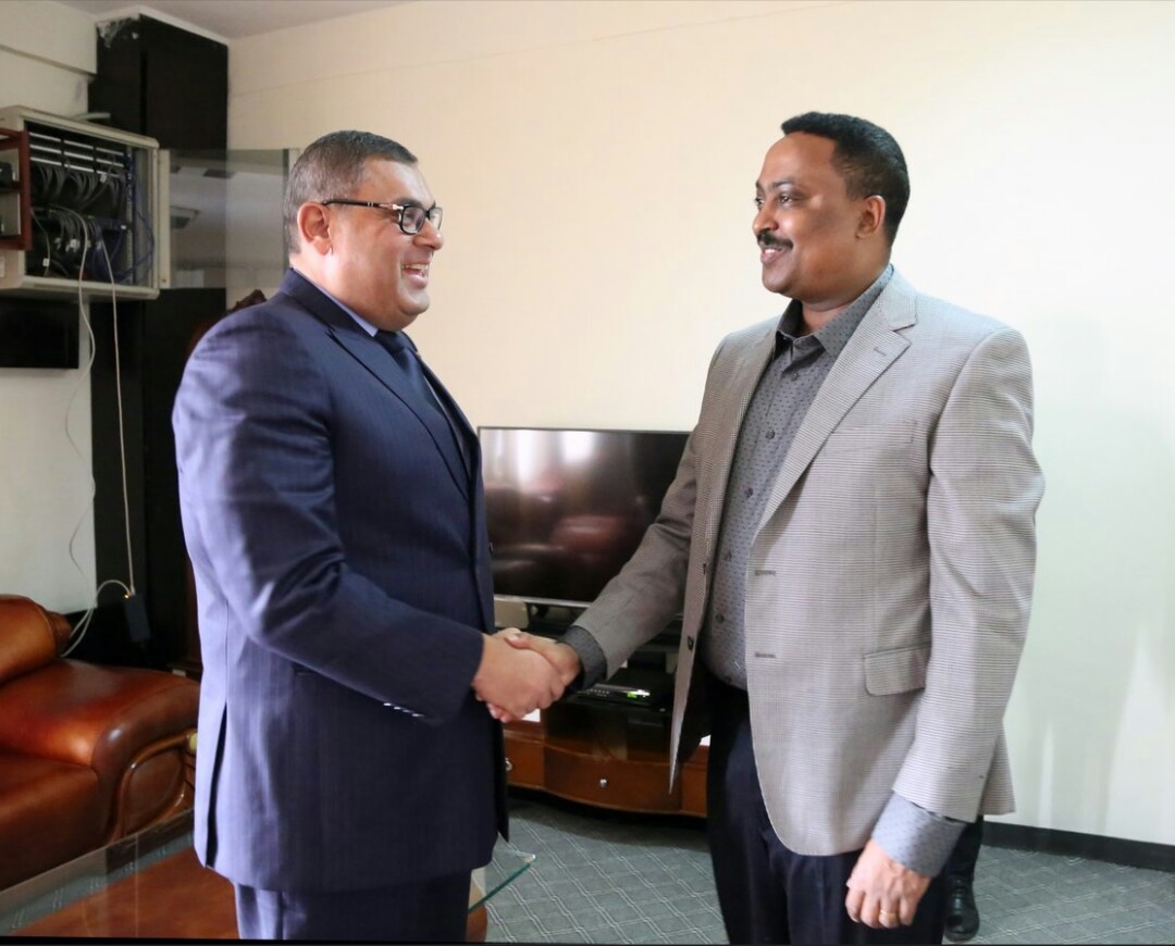 وزير الخارجية الإثيوبي والسفير أبو بكر حفني
