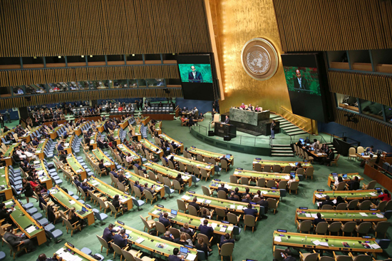 السيسي في الامم المتحدة (15)