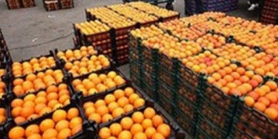 تصدير البرتقال