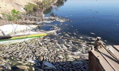 تلوث النيل ومصادر المياه
