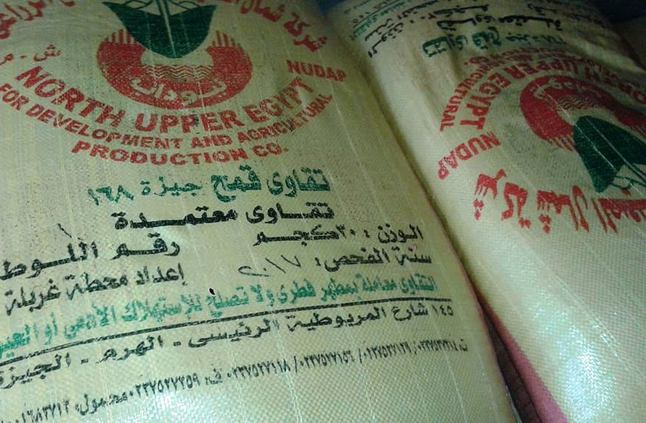 تقاوى القمح