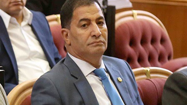 النائب البدري أبوضيف عضو لجنة الزراعة والرى