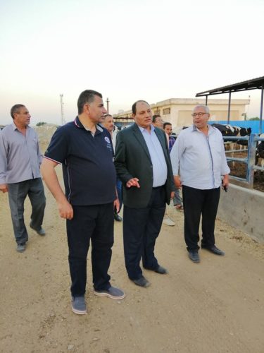المهندس مصطفى الصياد نائب وزير الزراعة خلال تواجده فى مشروعات الثروة الحيوانية بالنوبارية