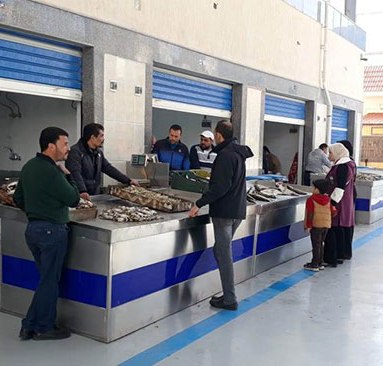 53405-سوق-الأسماك-الجديد-بمحافظة-بورسعيد--(4)