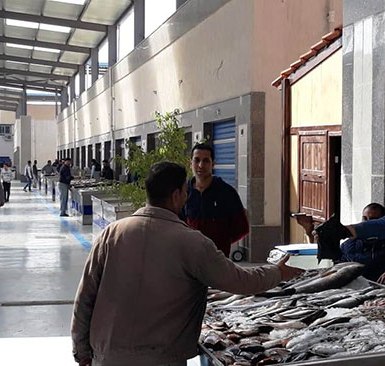 60345-سوق-الأسماك-الجديد-بمحافظة-بورسعيد--(5)