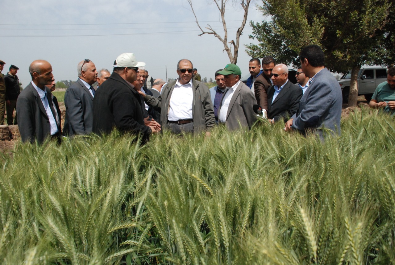 وزير الزراعة يطمئن على محصول القمح