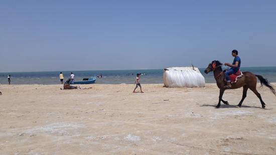 الأهالي في شواطئ شمال سيناء (2)
