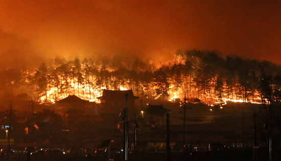 حريق هائل فى شمال كوريا الجنوبية (8)
