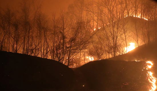 حريق هائل فى شمال كوريا الجنوبية (4)