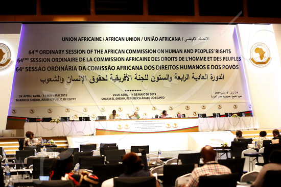 اللجنة الافريقية لحقوق الانسان (12)