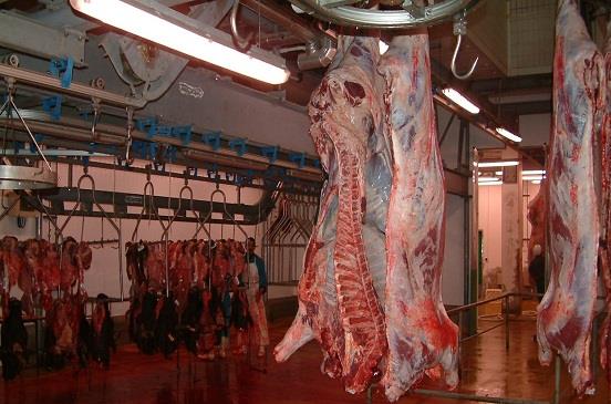 الإشراف على ذبح اللحوم