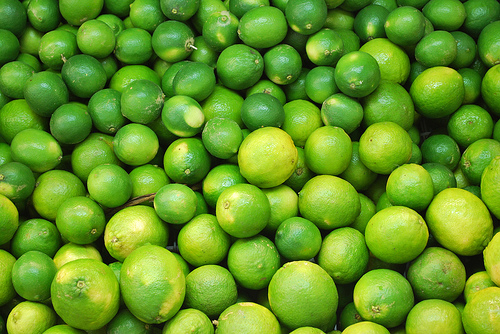 أسعار الليمون تتحدى الزراعة و التموين صوت الأمة