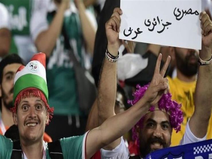 جماهير مصر تشجع الجزائر