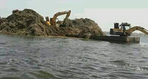 بحيرة مريوط خلال عمليات التطهير