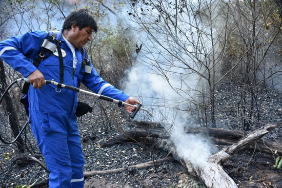 الرئيس البوليفى إيفو موراليس يساعد فى اخماد الحرائق (2)