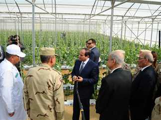 الرئيس السيسى خلال جولاتهافتتاحهلمشروع الصوب الزراعية بجهود الشركة الوطنية