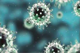 فيروس كورونا تحت الميكروسكوب الألكترونى