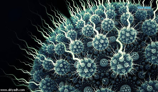 فيروس الانفلونزا تحت المجهر