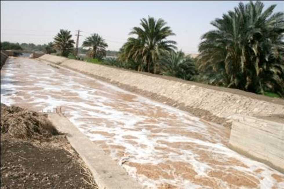 الأمطار تغمر زراعات سيناء