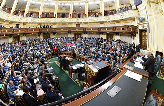 مجلس النواب (14)