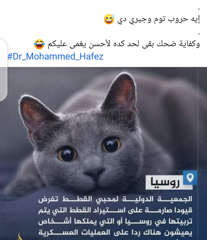 Screenshot_٢٠٢٢٠٣٠٦-١٨٣١٥٢ Screenshot_٢٠٢٢٠٣٠٦-١٨٣١٥٢