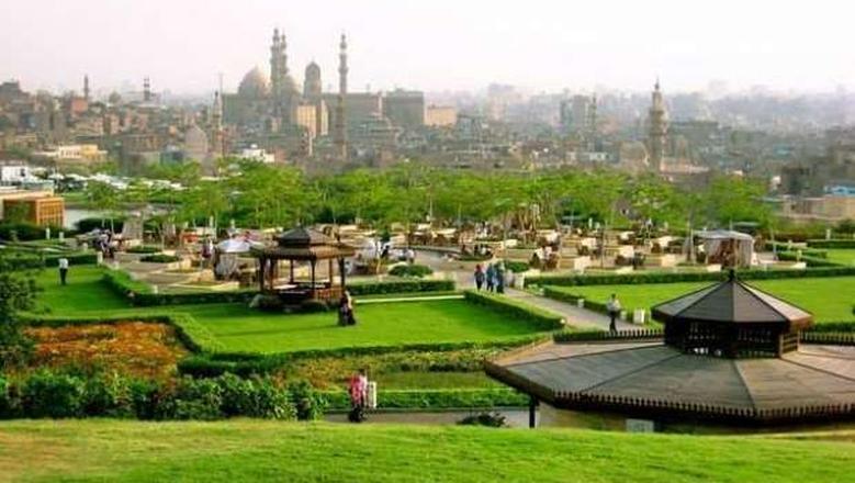 2519939951629747241 2519939951629747241