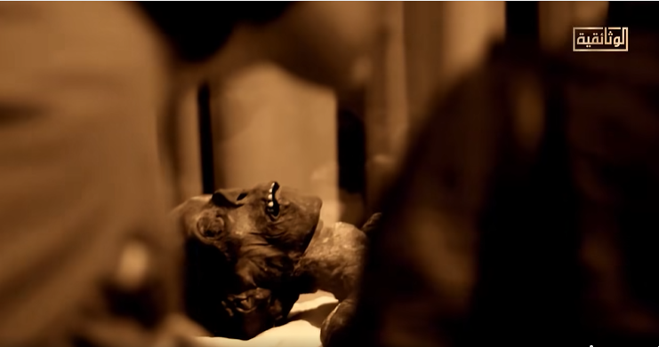 ممياوات ممياوات