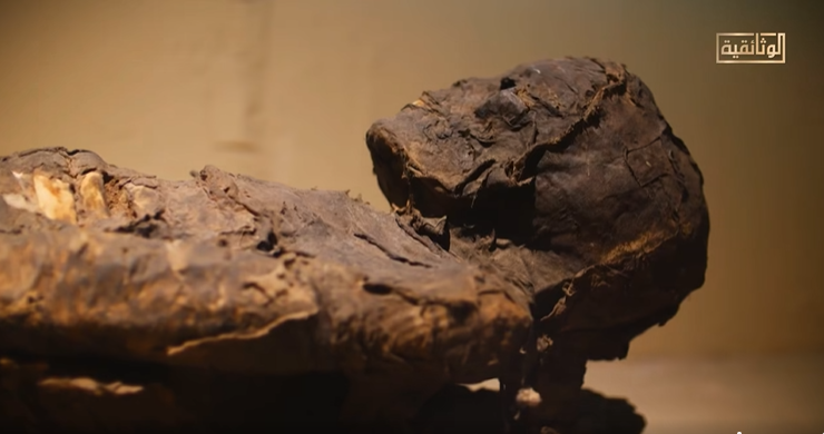 موميا موميا