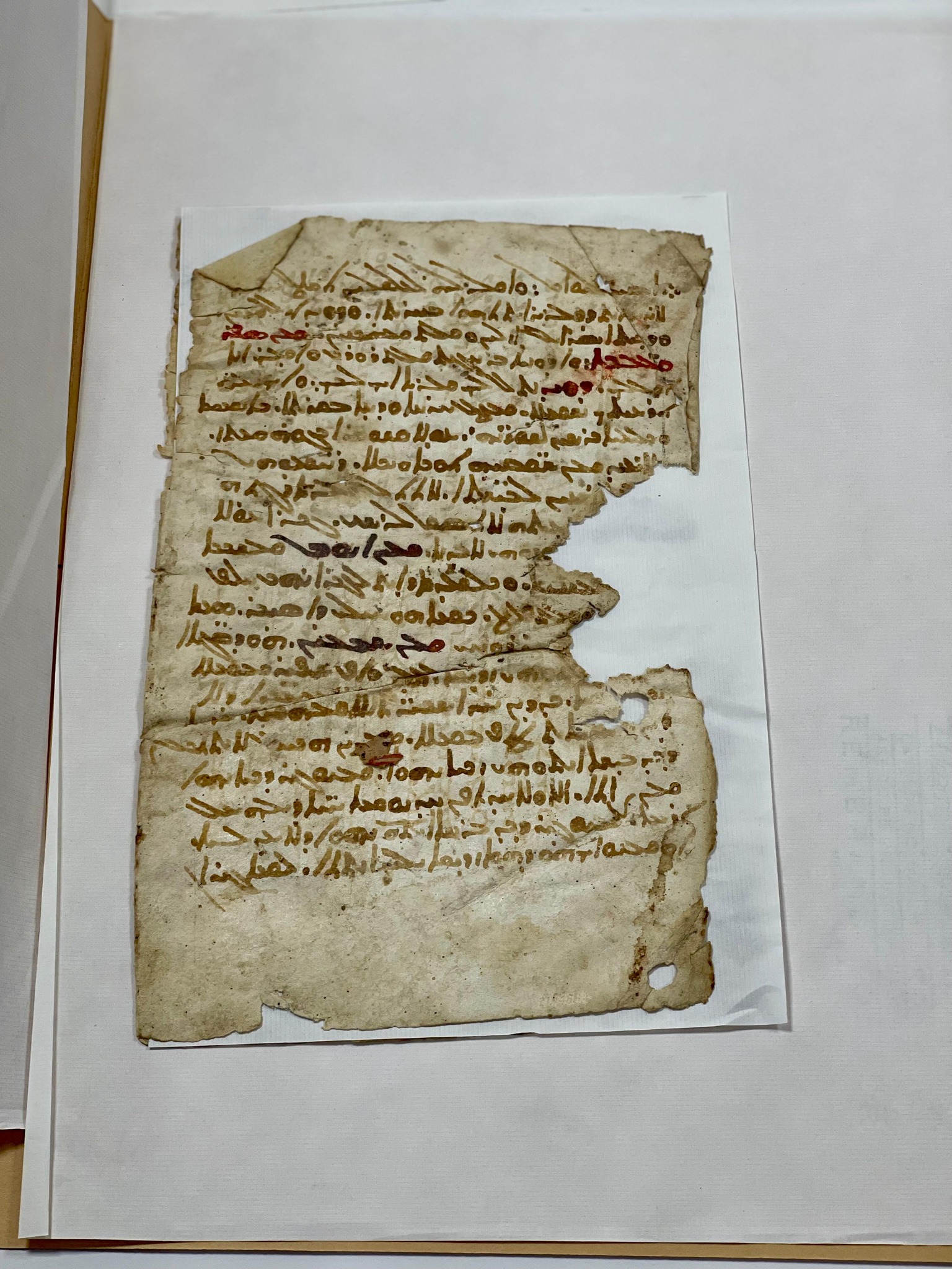 575093184_1149513630691815_635794779981210089_n 575093184_1149513630691815_635794779981210089_n